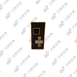 Selectron GZUD 30 時間繼電器