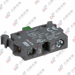 57160001-GV DSDI 131*16CH 110V AC/dc數(shù)字輸入板