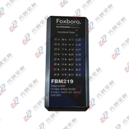 Foxboro FBM219 P0916RH離散I/O接口模塊